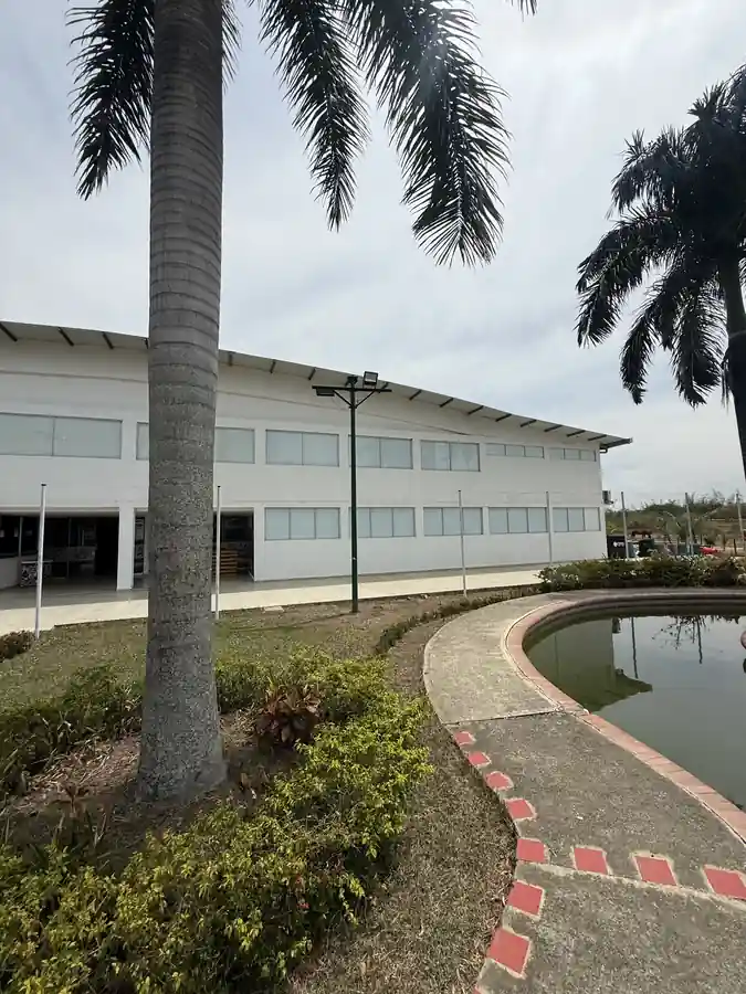 Pabellón techado 2.000 m²
